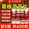 北京同仁堂葛根灵芝片养护片肝火旺盛调理用正品肝正品