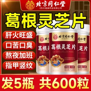北京同仁堂葛根灵芝片养护片肝火旺盛调理用正品肝正品