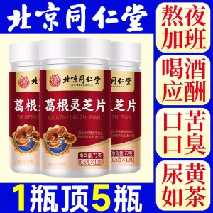 Alternative view of 北京同仁堂葛根灵芝片养护片肝火旺盛调理用正品肝正品